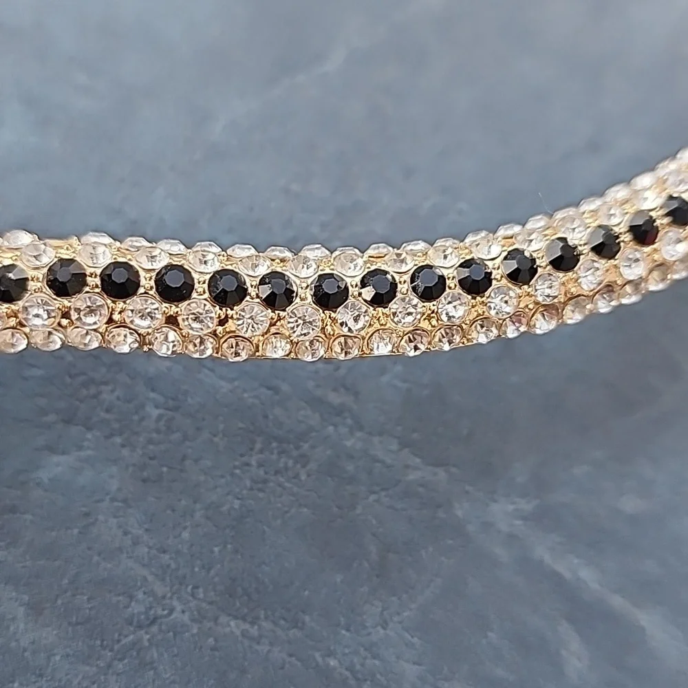 Snake 🐍 Chocker - Picture 5 of 12